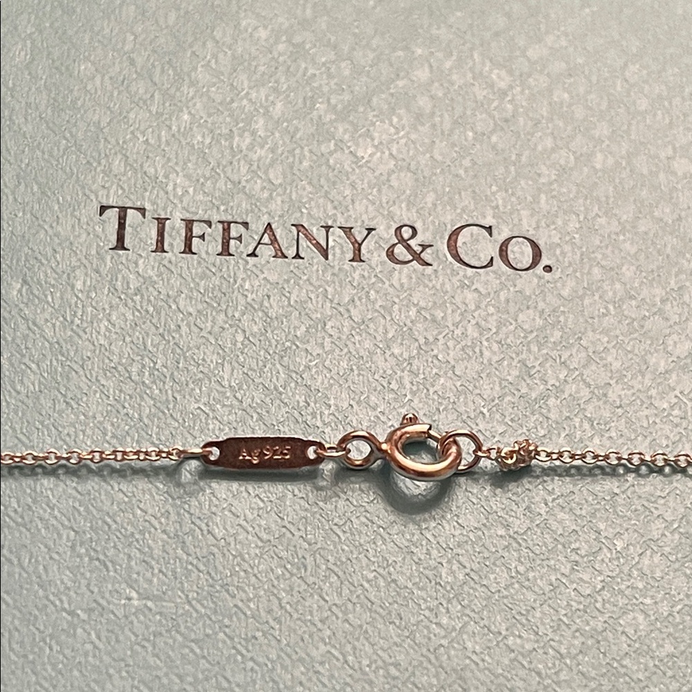 Tiffany & Co. Sterling Silver Infinity Necklace Set - Picture 9 of 9